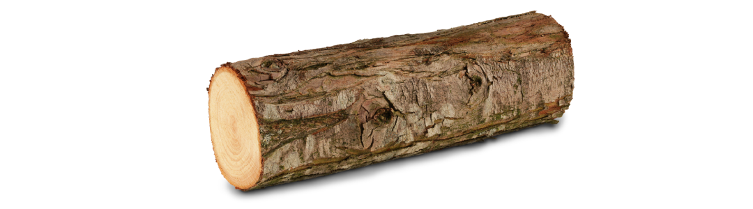 tree-log-aiken-sc