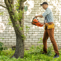 aiken-tree-services-tree-trimming